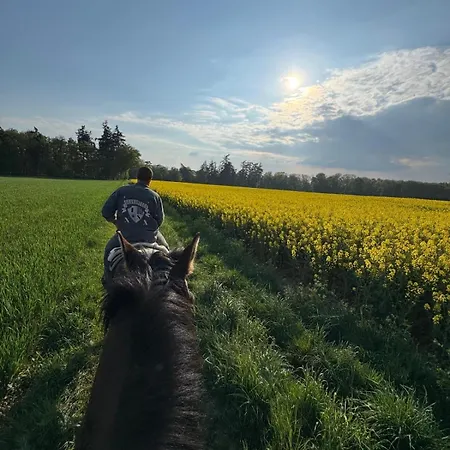 Demeure D'exception A La Campagne, 1h15 De Paris, Padel & Piscine