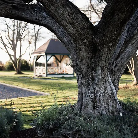 Demeure D'exception A La Campagne, 1h15 De Paris, Padel & Piscine Villa *