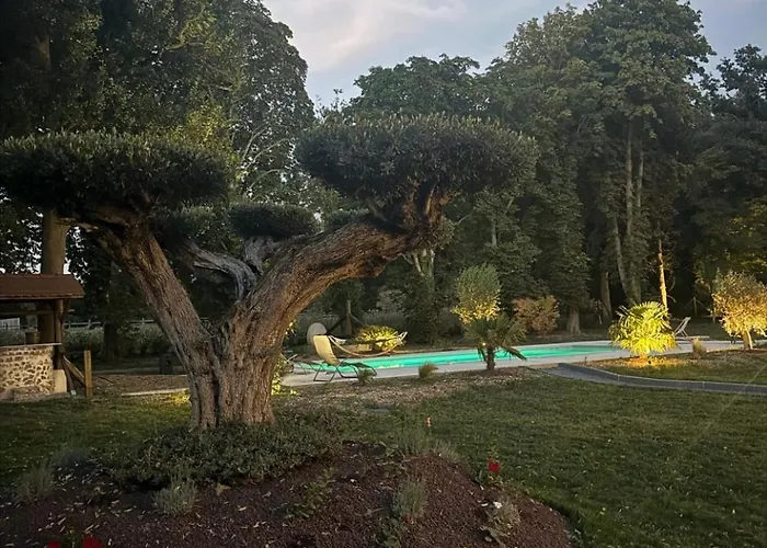 Demeure D'exception A La Campagne, 1h15 De Paris, Padel & Piscine Villa